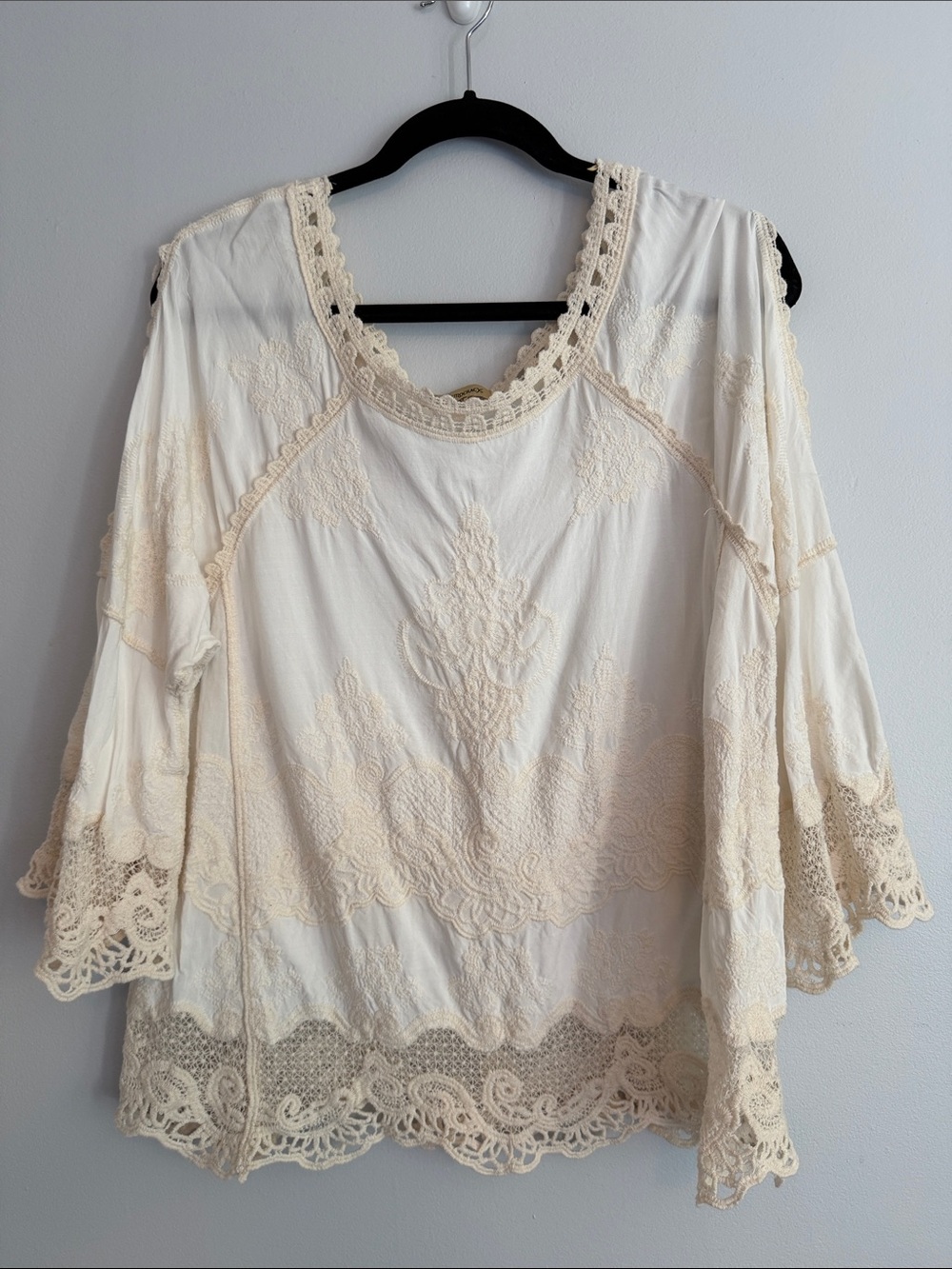 Democracy Cream Lace-Trim V-Neck Blouse